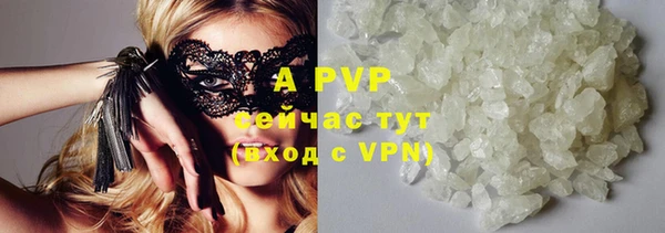 ГАЛЛЮЦИНОГЕННЫЕ ГРИБЫ Пестово