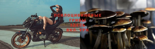 PSILOCYBIN Пересвет