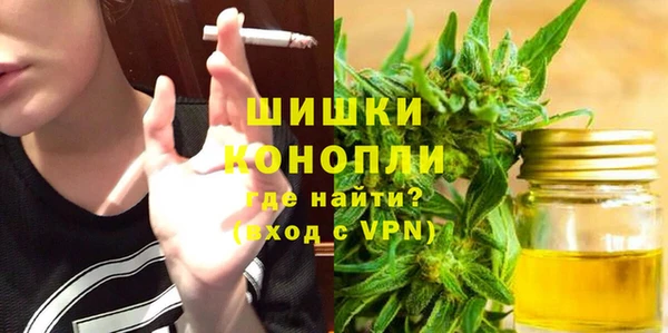 ГАЛЛЮЦИНОГЕННЫЕ ГРИБЫ Пестово