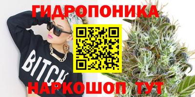 стаф Волжский
