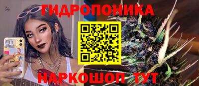 стаф Волжский