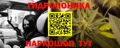 стафф Волгодонск