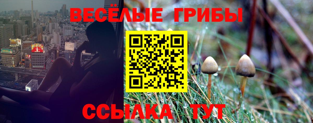 Тосно  Псилоцибиновые грибы Psilocybine cubensis  Вход с VPN  Галлюциногенные грибы мухоморы 