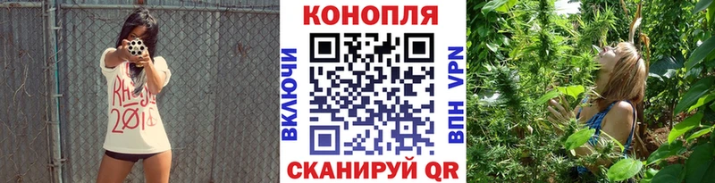 Конопля Amnesia  Тосно 